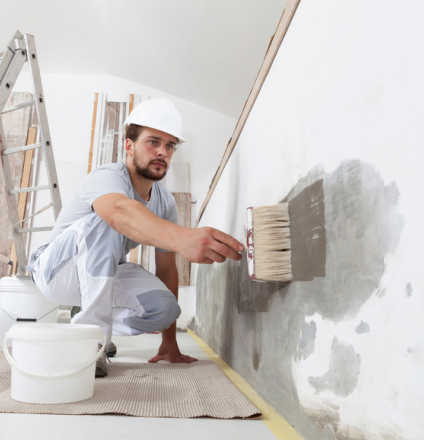 ourporctimg